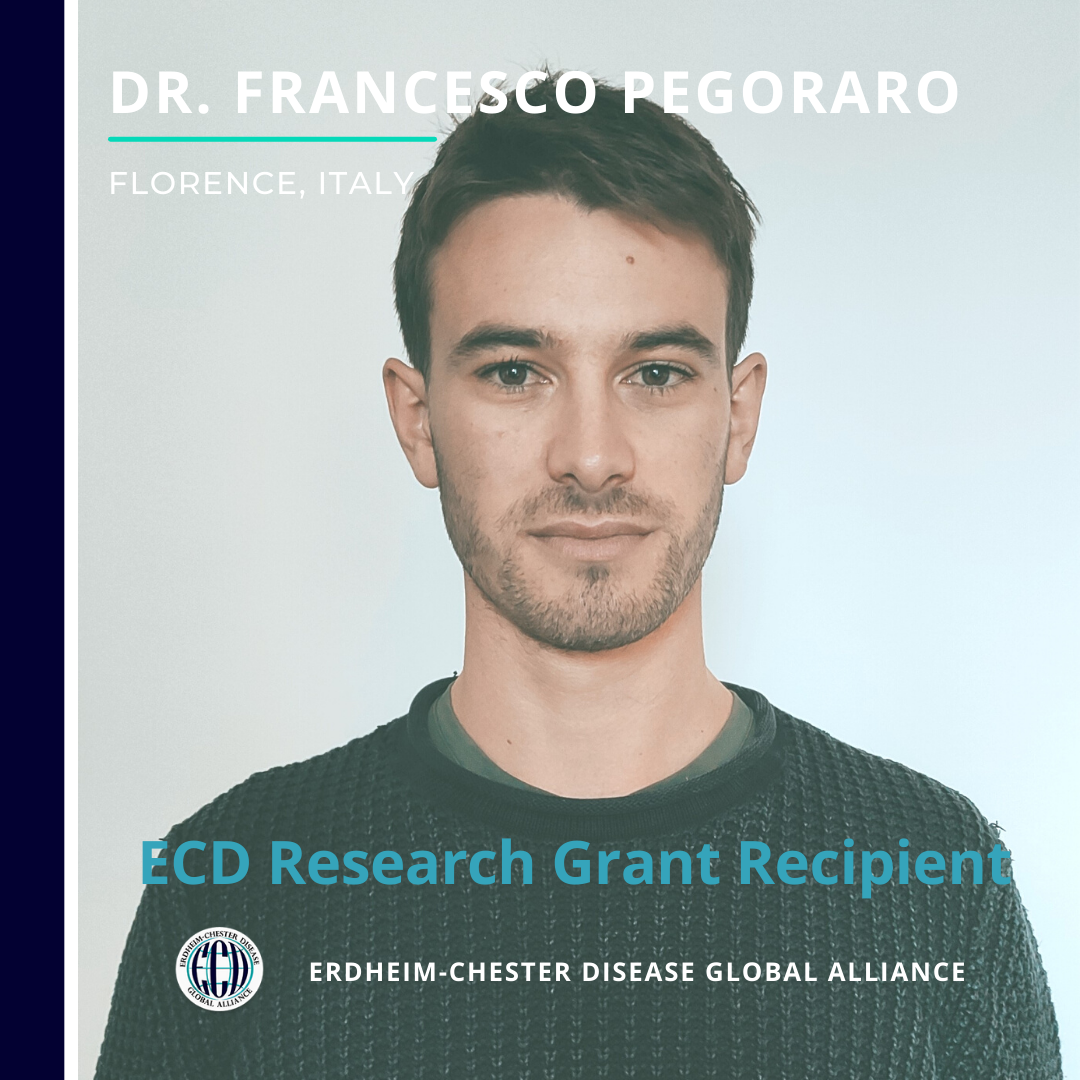 Anúncio de concessão de bolsas de pesquisa para 2021 ECD