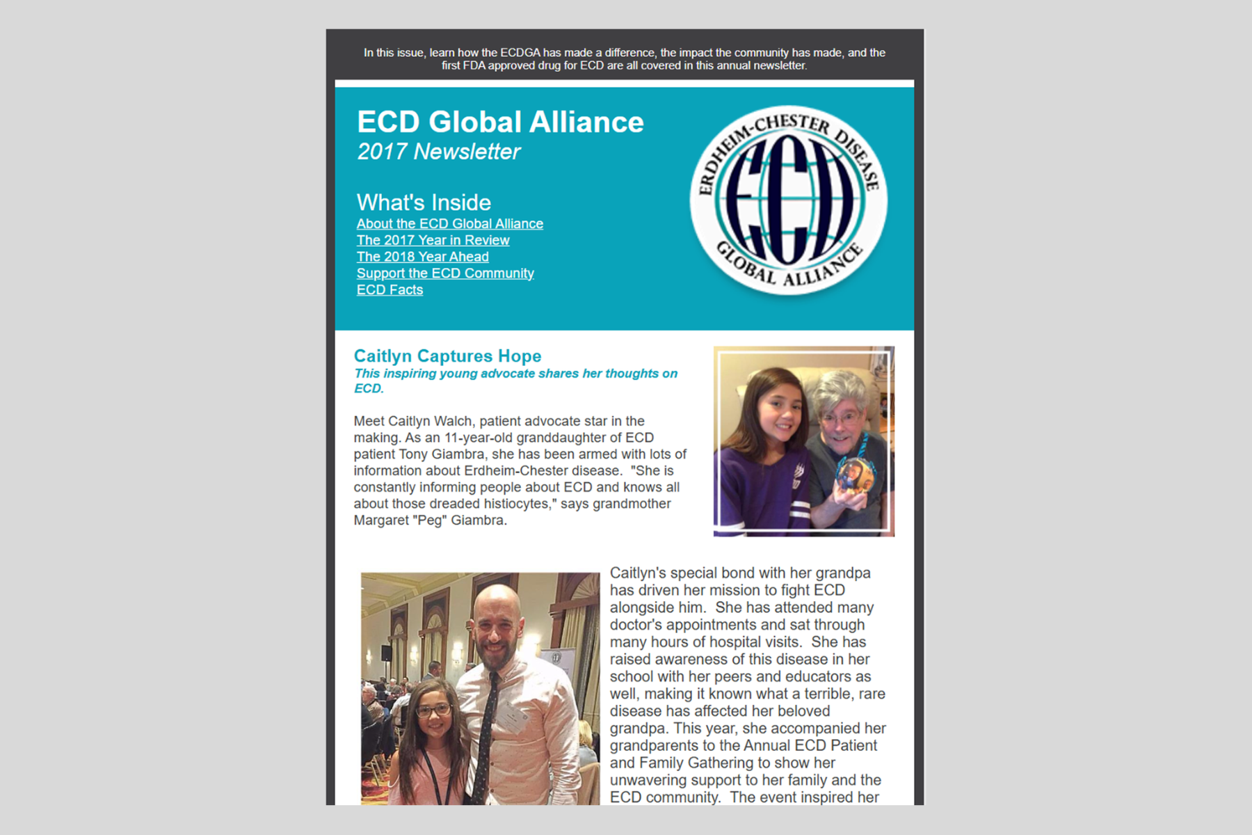 वर्ष-अंत समाचार-पत्र 2017