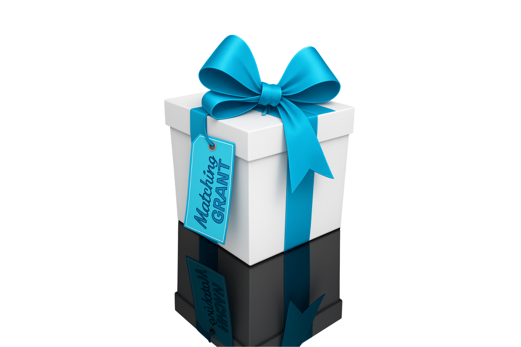 Matching Gift Donation