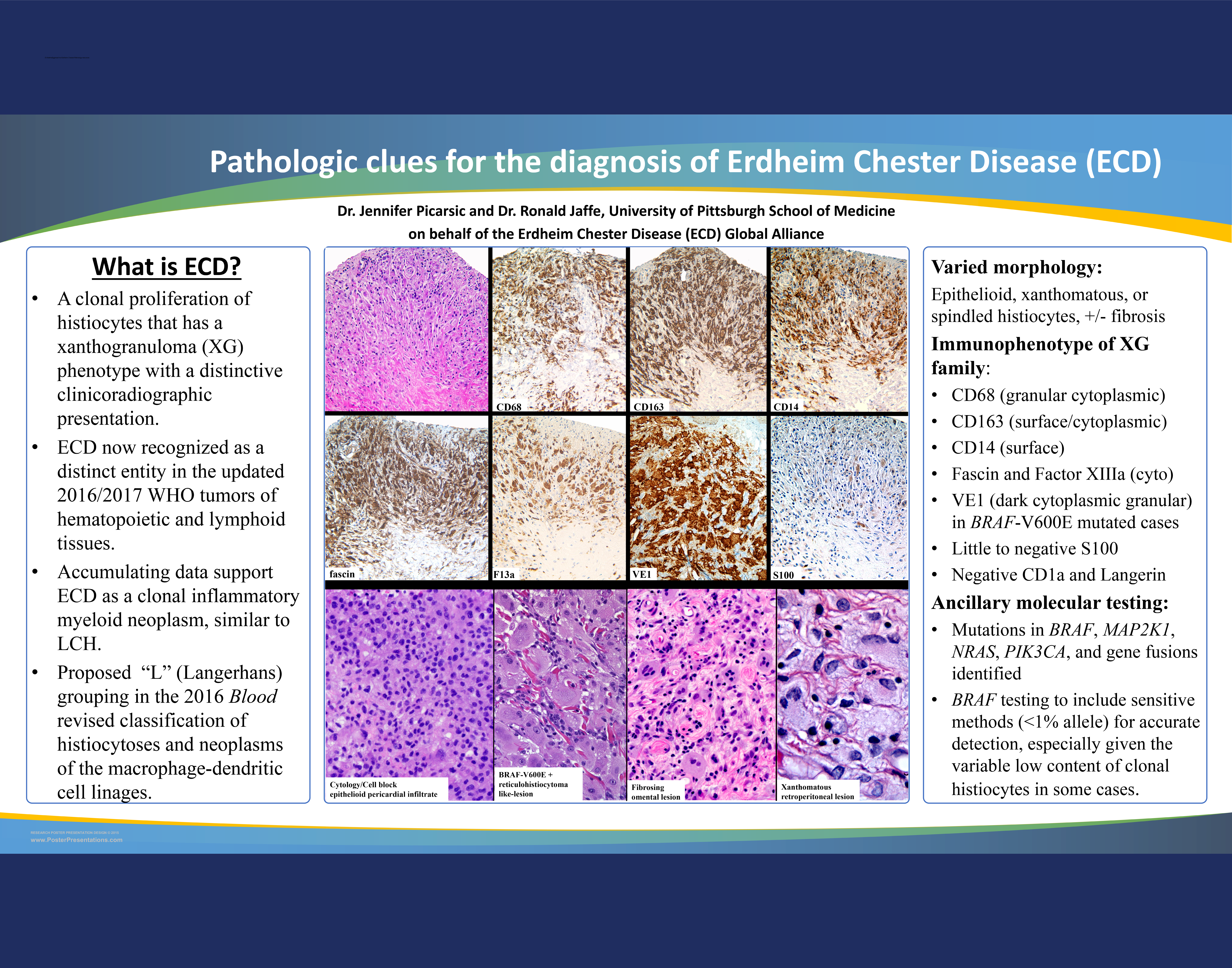 1.8.17-Picarsic-Jaffe-ECD-USCAP-3