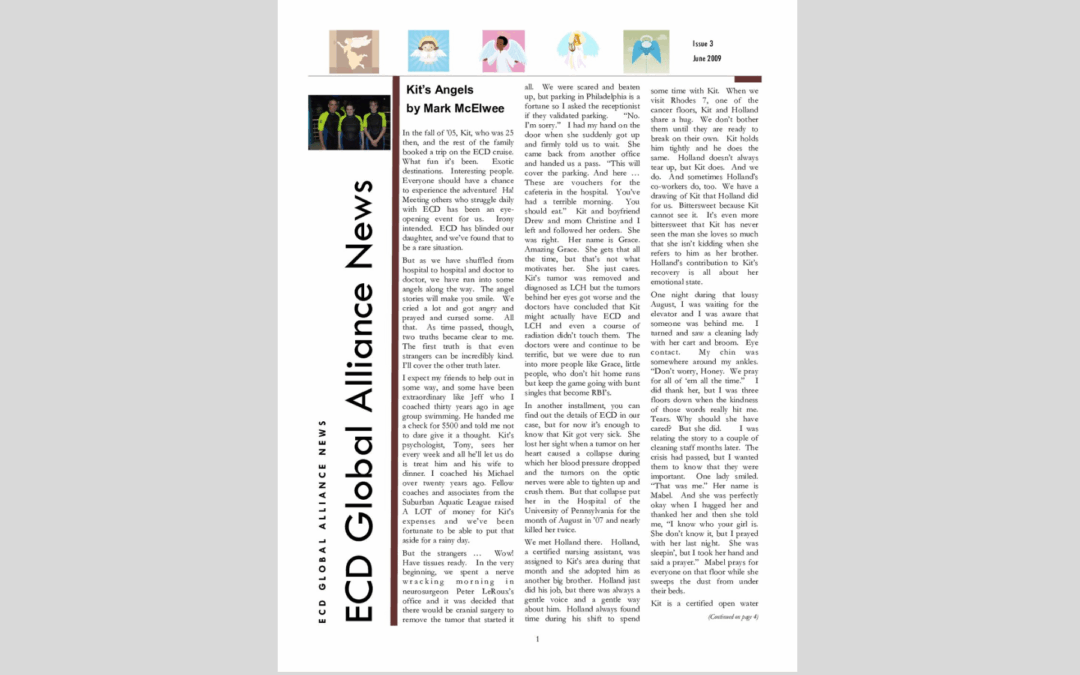 Newsletter Numero 3 – Giugno 2009