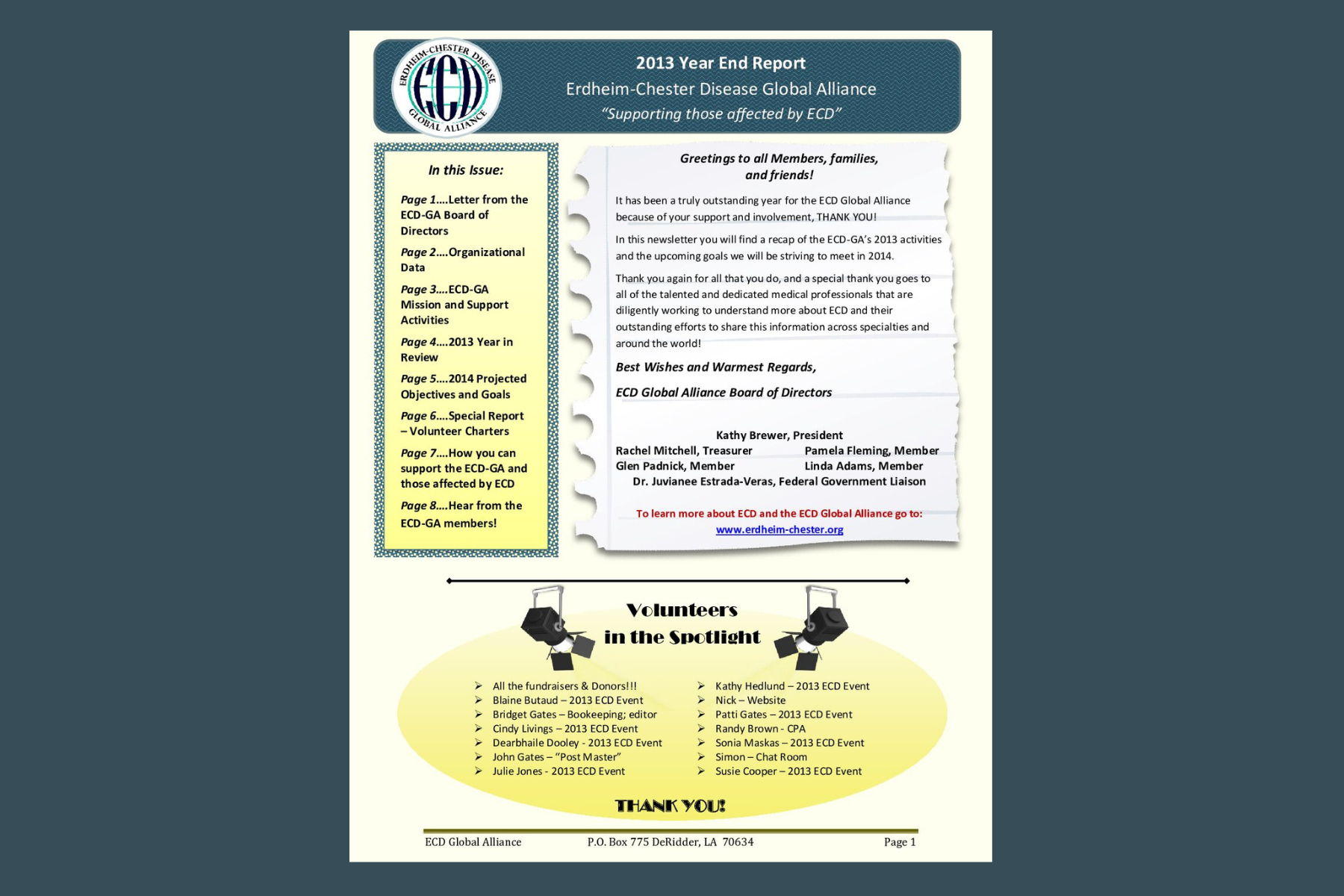 वर्ष-अंत समाचार-पत्र 2013