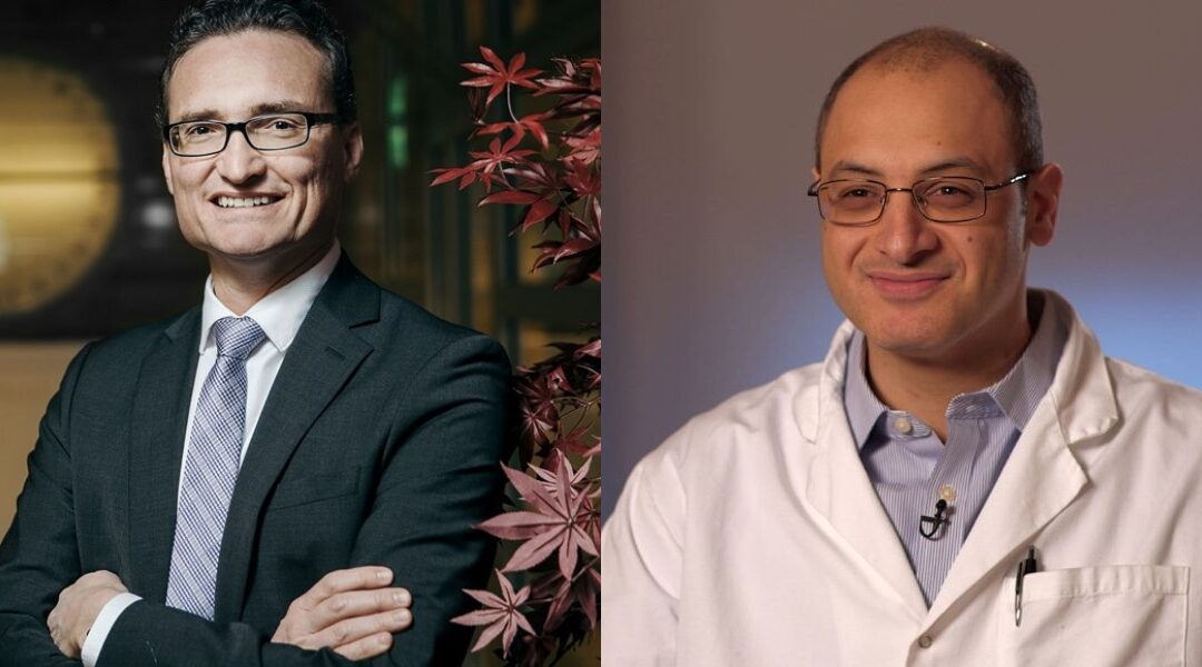 瞭解和靶向無 BRAFV600E 突變的 Erdheim-Chester 病中的新分子改變