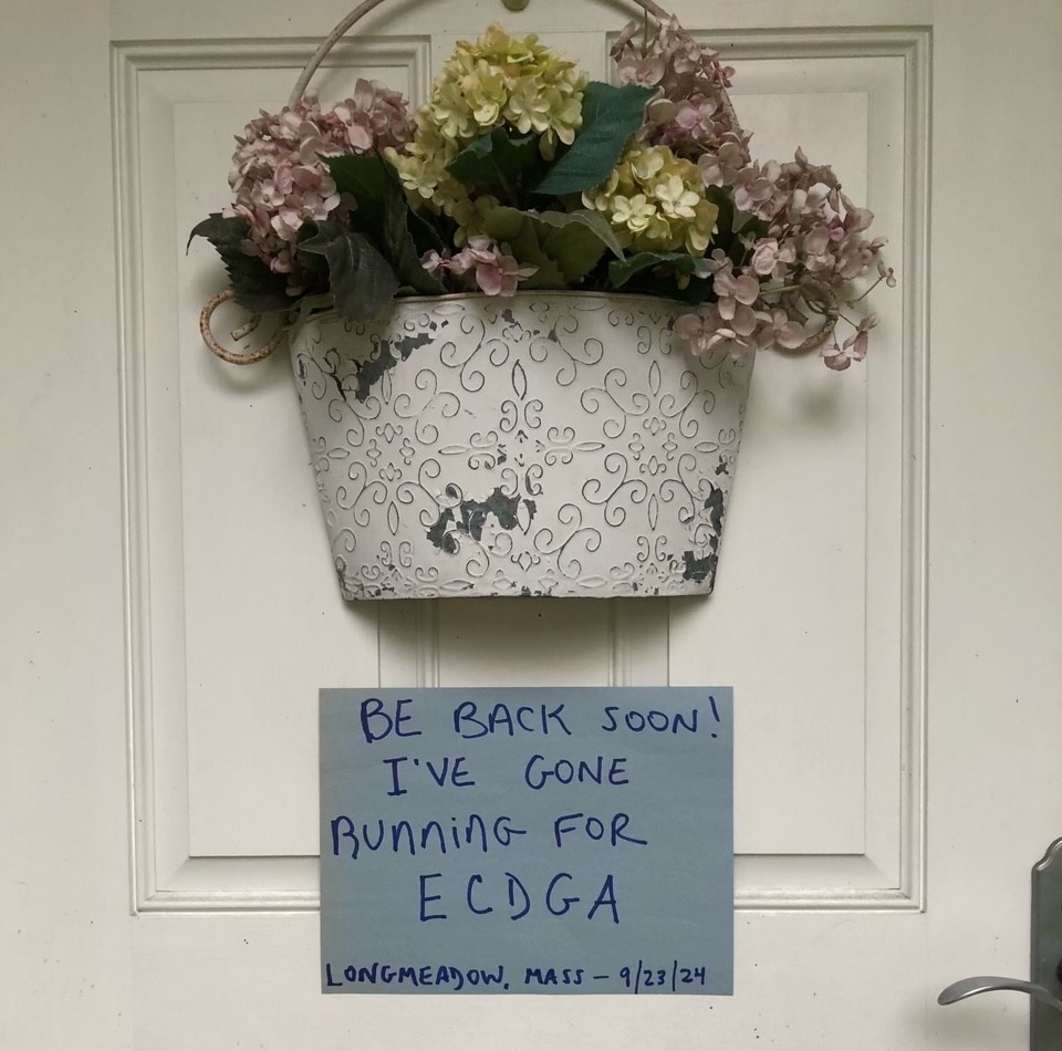 O poder da comunidade: Como a corrida ECDGA Fun Run promove a conscientização global