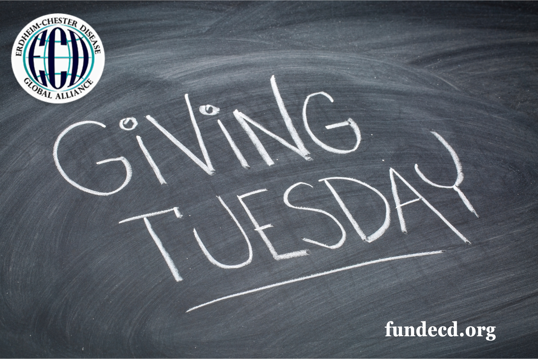 Hoje é Giving Tuesday – um dia em que a esperança cresce por causa de VOCÊ.